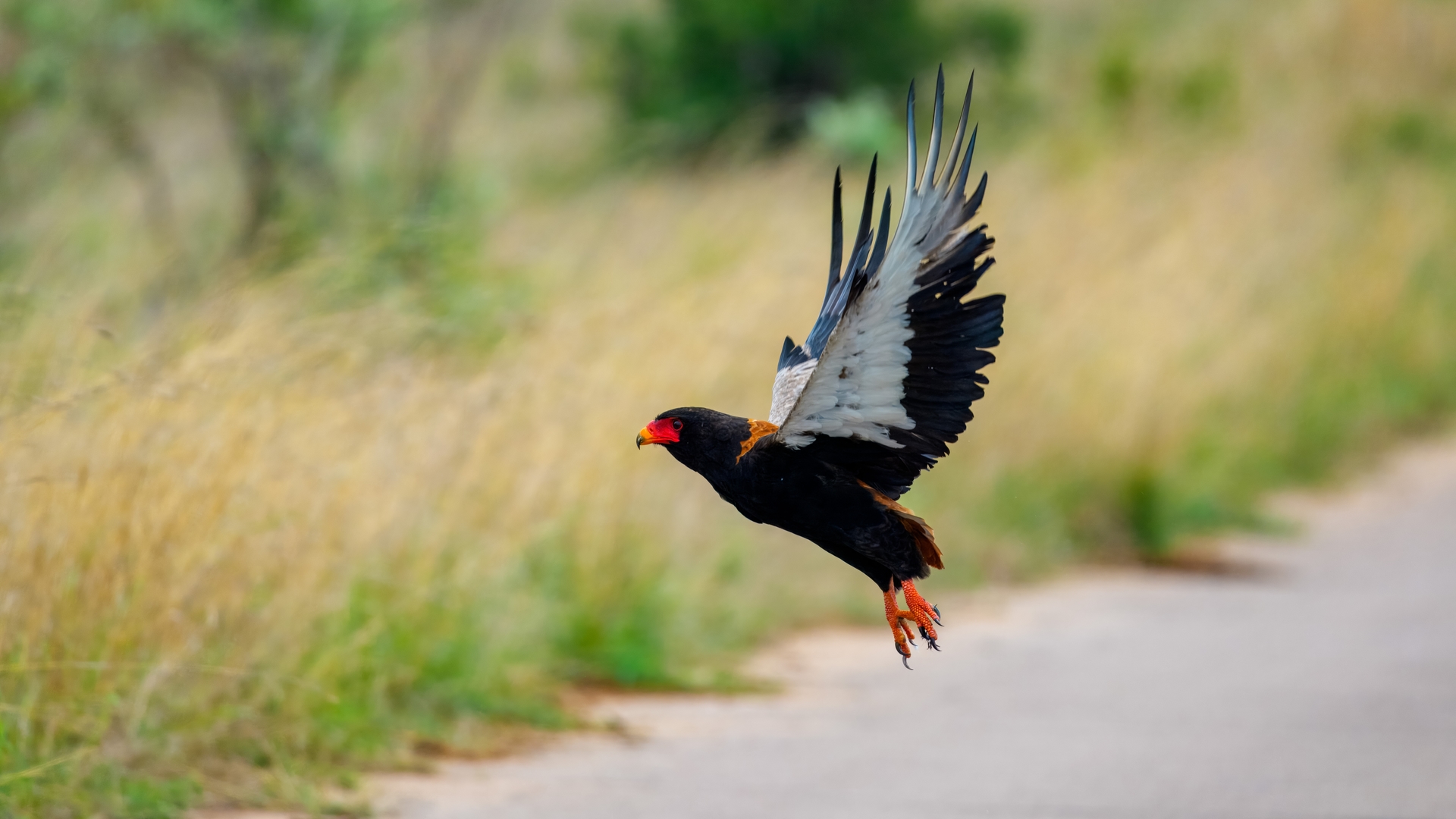 Kruger25 2025 10 30 11 17 38 ILCE 1M2 97